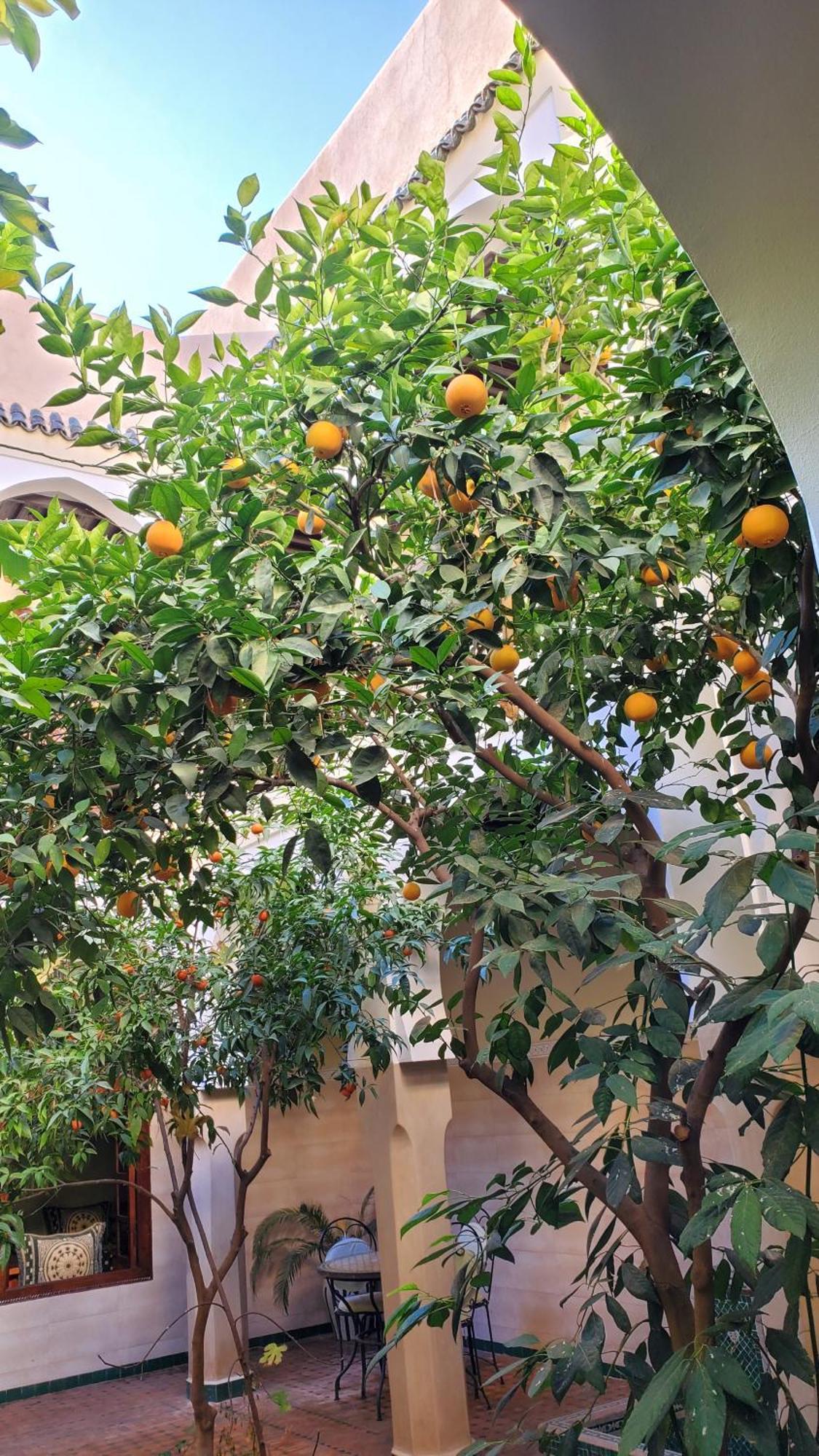 Riad Tidar By Phoenix Marakéš Exteriér fotografie